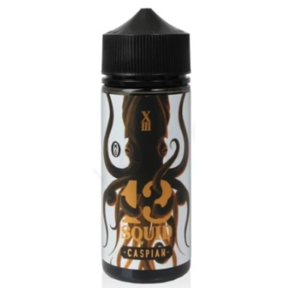 Kaspiskur stuttfylt E-Føndur Við 13 Squid 100ml