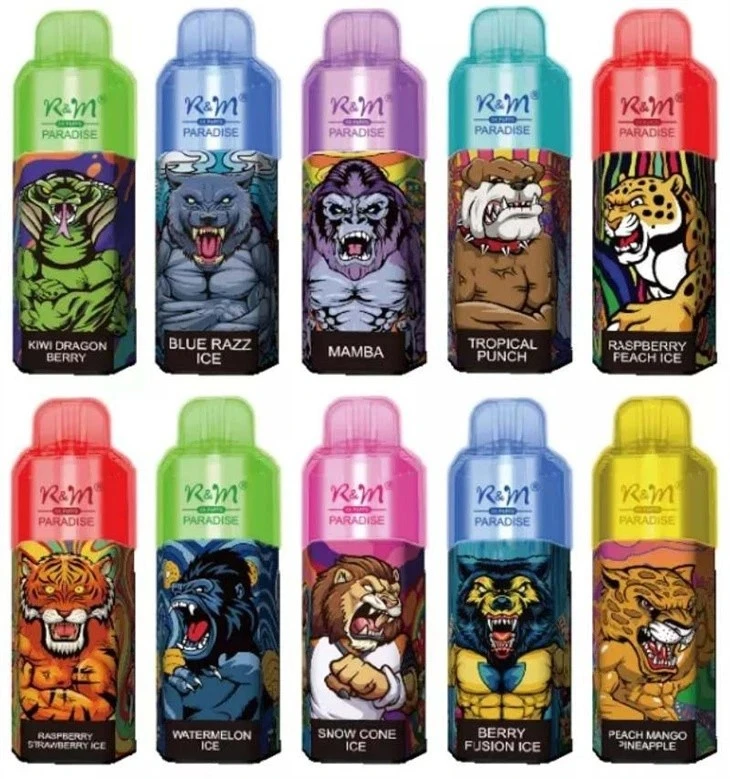 R&M PARADISE 8000 Puffs Vape manufacturers
