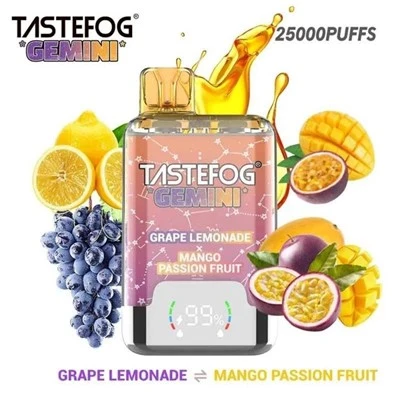 TASTEFOG GEMINI 25000 Puffs Vape